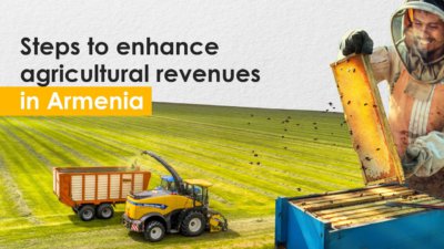 Steps to enhance agricultural revenues in Armenia